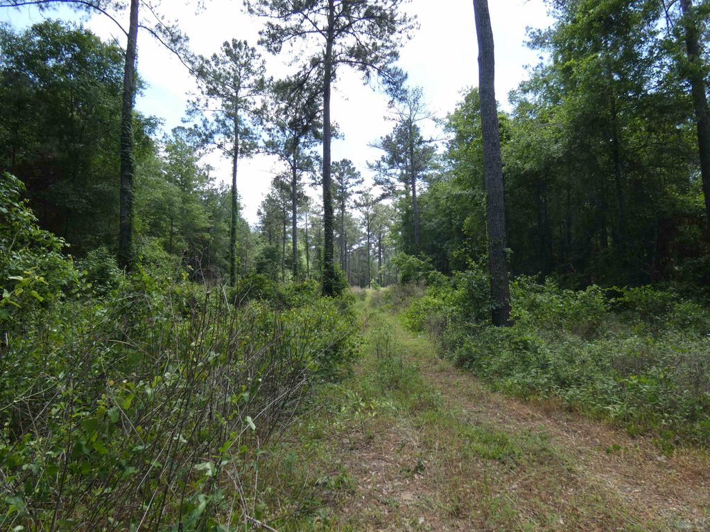 Photo of TBD W Washington, Monticello, FL 32344 (MLS # 399248)
