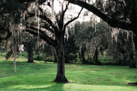 Tiny photo for 10800 Mccracken Road, Tallahassee, FL 32309 (MLS # 390208)