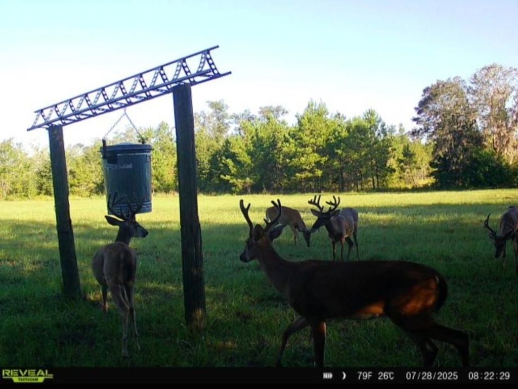 Photo of 650 NW Florwers Rd Road, Madison, FL 32340 (MLS # 392715)