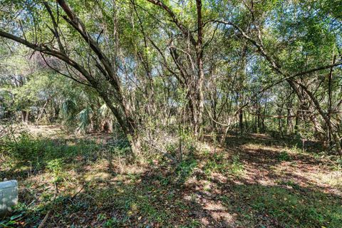 Tiny photo for 1269 SPRING CREEK Highway, Crawfordville, FL 32327 (MLS # 394434)
