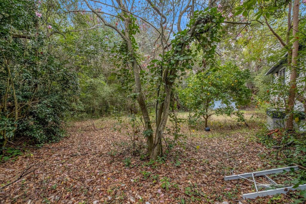 Photo of 1520 Live Oak Drive, Tallahassee, FL 32301 (MLS # 399980)