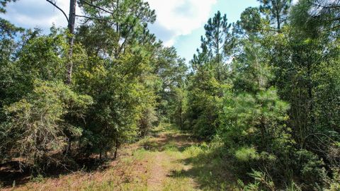 Tiny photo for 379 Glory Road, Quincy, FL 32352 (MLS # 398124)
