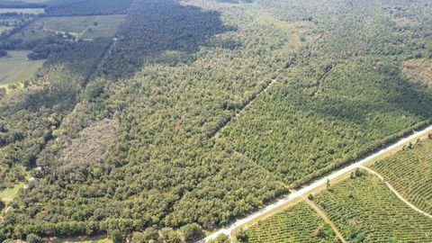 Tiny photo for 379 Glory Road, Quincy, FL 32352 (MLS # 398124)