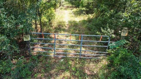 Tiny photo for 379 Glory Road, Quincy, FL 32352 (MLS # 398124)