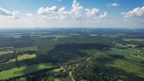 Tiny photo for 379 Glory Road, Quincy, FL 32352 (MLS # 398124)