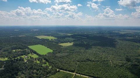 Tiny photo for 379 Glory Road, Quincy, FL 32352 (MLS # 398124)