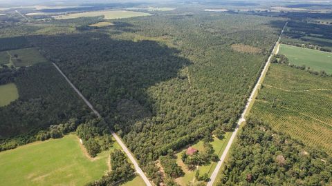 Tiny photo for 379 Glory Road, Quincy, FL 32352 (MLS # 398124)