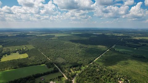 Tiny photo for 379 Glory Road, Quincy, FL 32352 (MLS # 398124)