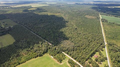 Tiny photo for 379 Glory Road, Quincy, FL 32352 (MLS # 398124)