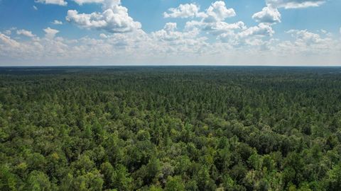 Tiny photo for 379 Glory Road, Quincy, FL 32352 (MLS # 398124)