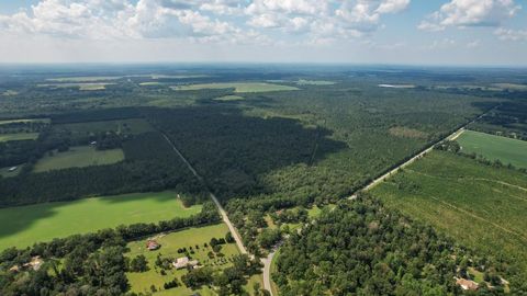 Tiny photo for 379 Glory Road, Quincy, FL 32352 (MLS # 398124)