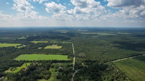 Tiny photo for 379 Glory Road, Quincy, FL 32352 (MLS # 398124)