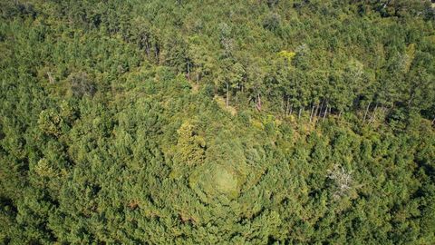 Tiny photo for 379 Glory Road, Quincy, FL 32352 (MLS # 398124)