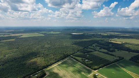 Tiny photo for 379 Glory Road, Quincy, FL 32352 (MLS # 398124)