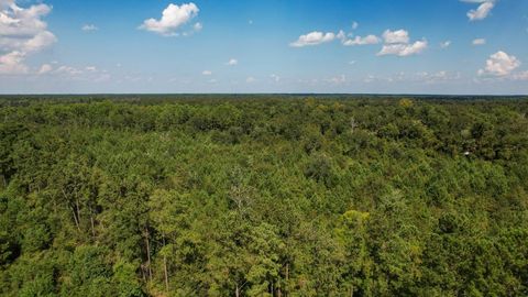 Tiny photo for 379 Glory Road, Quincy, FL 32352 (MLS # 398124)