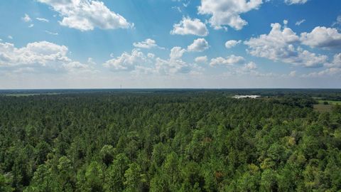 Tiny photo for 379 Glory Road, Quincy, FL 32352 (MLS # 398124)