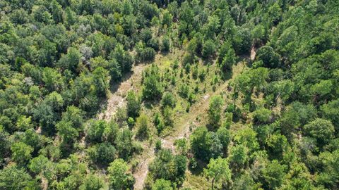 Tiny photo for 379 Glory Road, Quincy, FL 32352 (MLS # 398124)