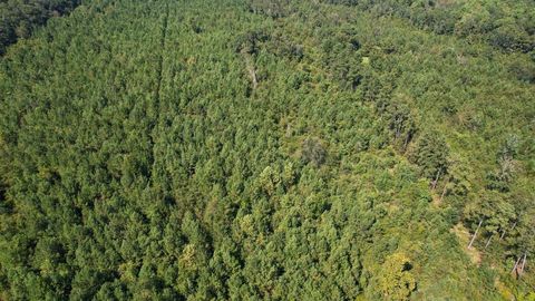 Tiny photo for 379 Glory Road, Quincy, FL 32352 (MLS # 398124)