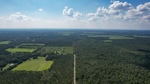 Tiny photo for 379 Glory Road, Quincy, FL 32352 (MLS # 398124)