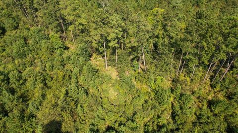 Tiny photo for 379 Glory Road, Quincy, FL 32352 (MLS # 398124)