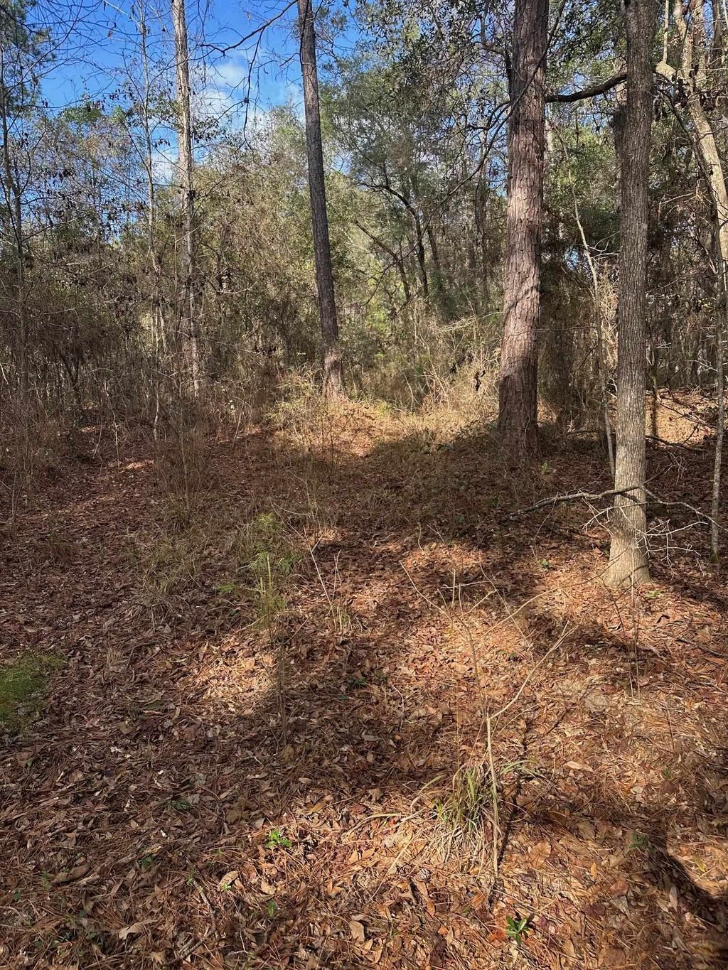 Photo of 0 Veterans Memorial Highway, Tallahassee, FL 32309 (MLS # 394992)