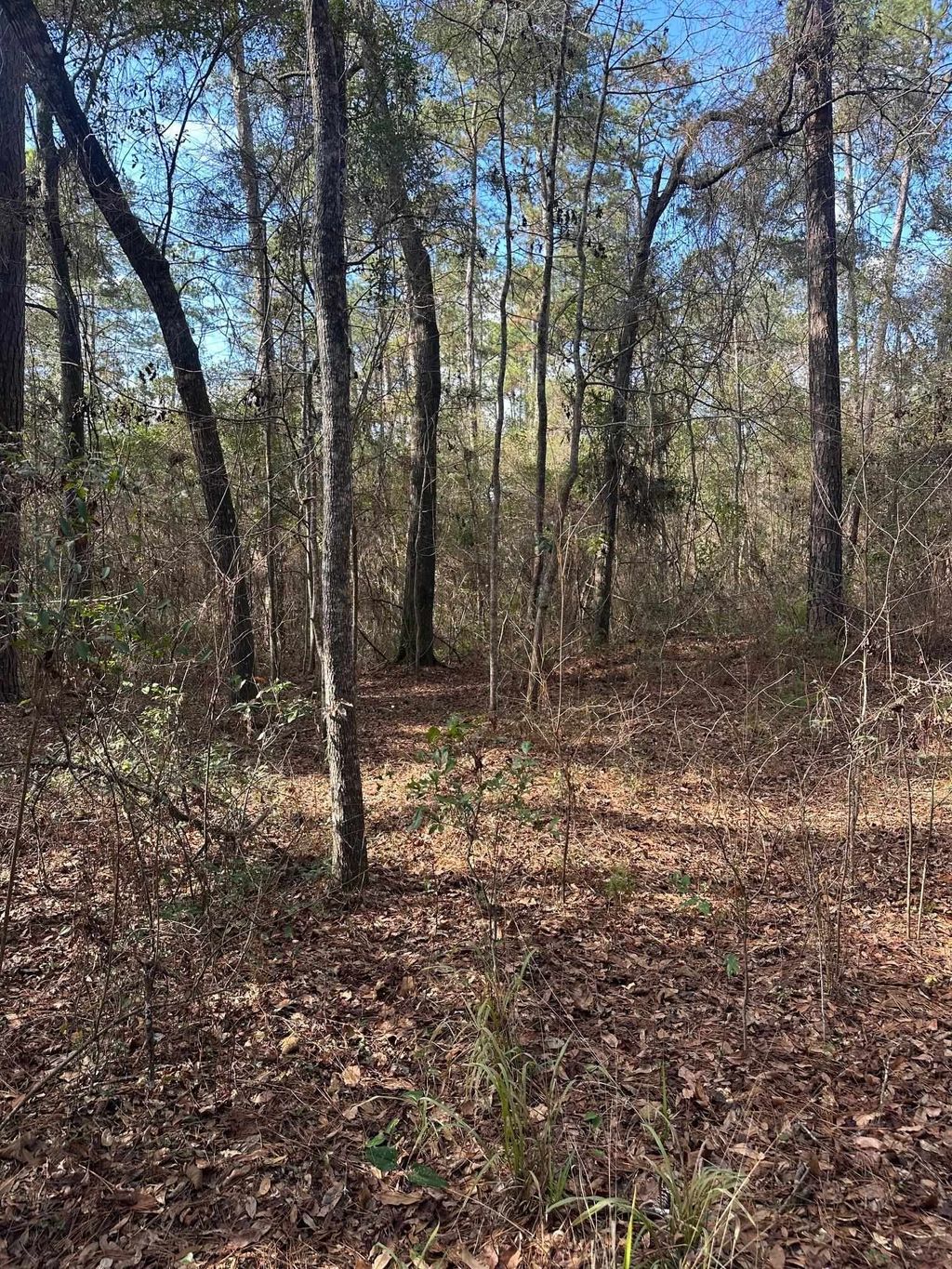 Photo of 0 Veterans Memorial Highway, Tallahassee, FL 32309 (MLS # 394992)