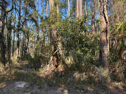 Tiny photo for Lot 12 River Drive, Panacea, FL 32346 (MLS # 396165)