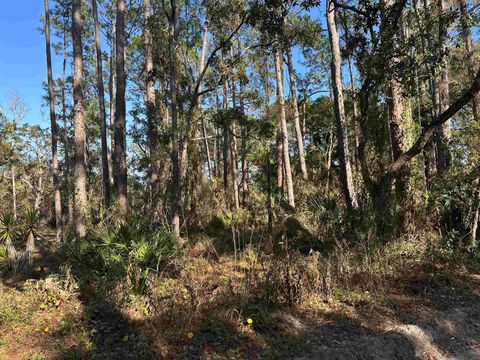 Tiny photo for Lot 12 River Drive, Panacea, FL 32346 (MLS # 396165)