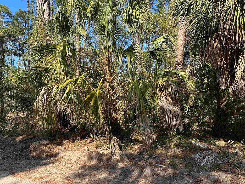 Photo of Lot 12 River Drive, Panacea, FL 32346 (MLS # 396165)