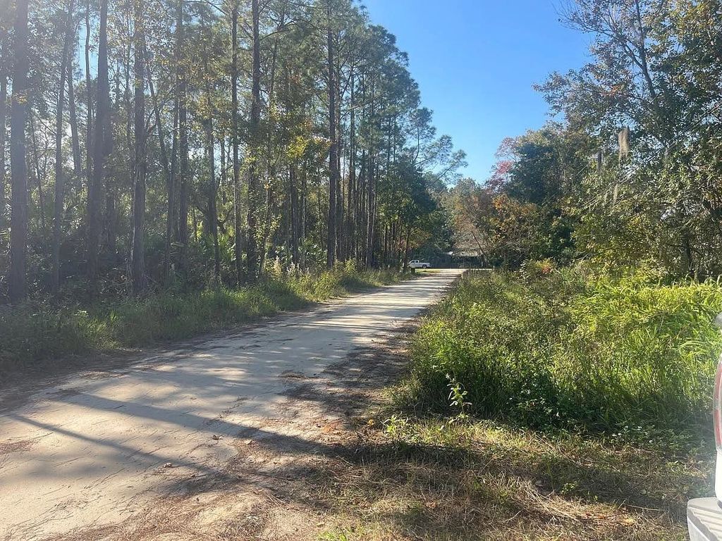 Photo of 108 Pineshore Drive, Other Florida, FL 32189 (MLS # 393960)