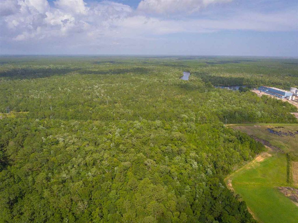 Photo of 73 Hope Lane #-, St Marks, FL 32355 (MLS # 385715)