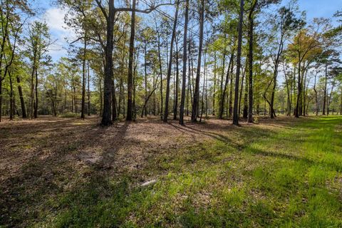 Tiny photo for 32 Heather Lane Lane, Havana, FL 32333 (MLS # 397888)
