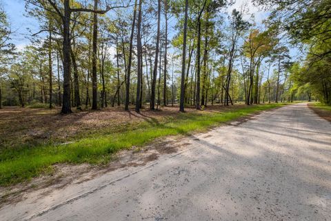 Tiny photo for 32 Heather Lane Lane, Havana, FL 32333 (MLS # 397888)