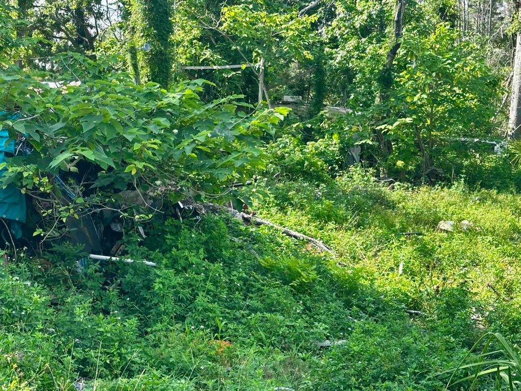 Photo of 1107 Vaughn Lane, Steinhatchee, FL 32359 (MLS # 388310)