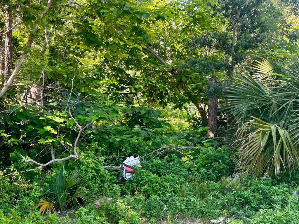 Photo of 1107 Vaughn Lane, Steinhatchee, FL 32359 (MLS # 388310)