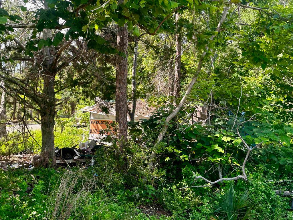 Photo of 1107 Vaughn Lane, Steinhatchee, FL 32359 (MLS # 388310)