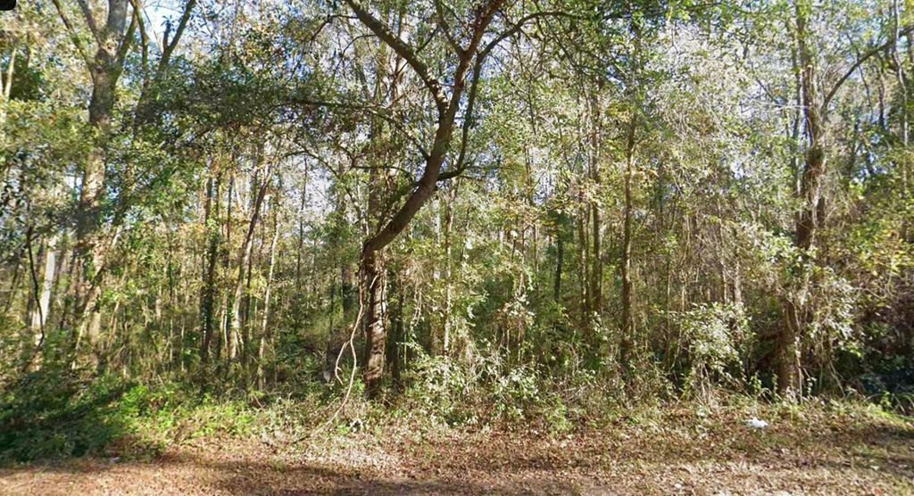 Photo of 0 MOCCASIN GAP Road, Tallahassee, FL 32304 (MLS # 395144)