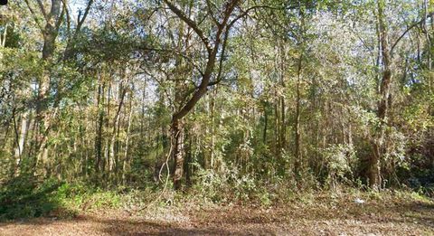 Photo of 0 MOCCASIN GAP Road, Tallahassee, FL 32309 (MLS # 395144)
