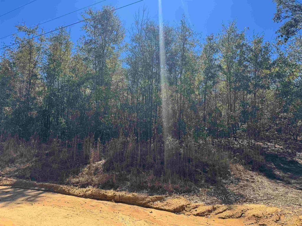 Photo of NE Rocky Ford Road, Pinetta, FL 32350 (MLS # 396275)