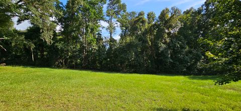 Tiny photo for Scarlet Sage Way, Tallahassee, FL 32311 (MLS # 382384)