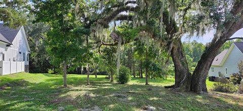 Tiny photo for Scarlet Sage Way, Tallahassee, FL 32311 (MLS # 382384)