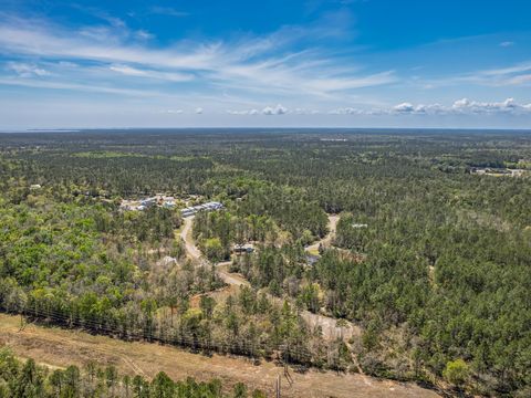 Tiny photo for Coquina Crossing Drive, St Marks, FL 32355 (MLS # 398029)