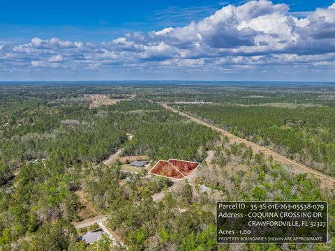 Tiny photo for Coquina Crossing Drive, St Marks, FL 32355 (MLS # 398029)