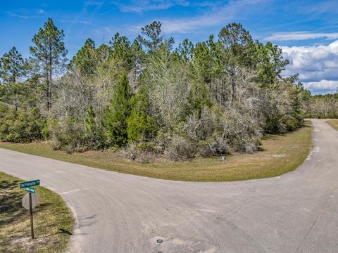 Tiny photo for Coquina Crossing Drive, St Marks, FL 32355 (MLS # 398029)