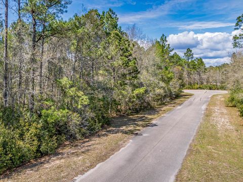 Tiny photo for Coquina Crossing Drive, St Marks, FL 32355 (MLS # 398029)