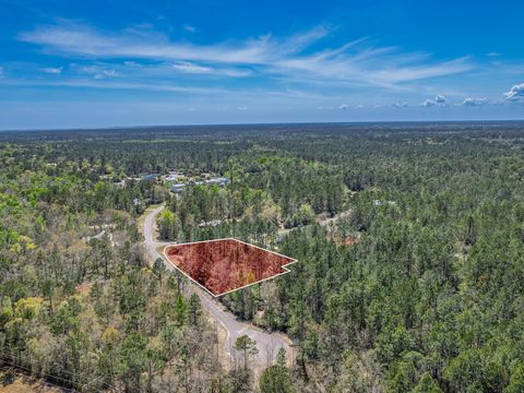 Tiny photo for Coquina Crossing Drive, St Marks, FL 32355 (MLS # 398029)