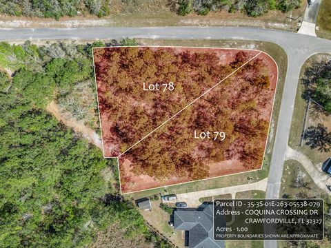 Photo of Coquina Crossing Drive, St Marks, FL 32355 (MLS # 398029)