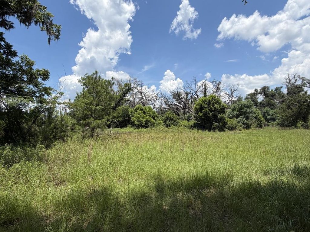 Photo of 610 SE Askew Avenue, Madison, FL 32340 (MLS # 401662)