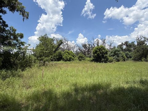 Tiny photo for 610 SE Askew Avenue, Madison, FL 32340 (MLS # 401662)