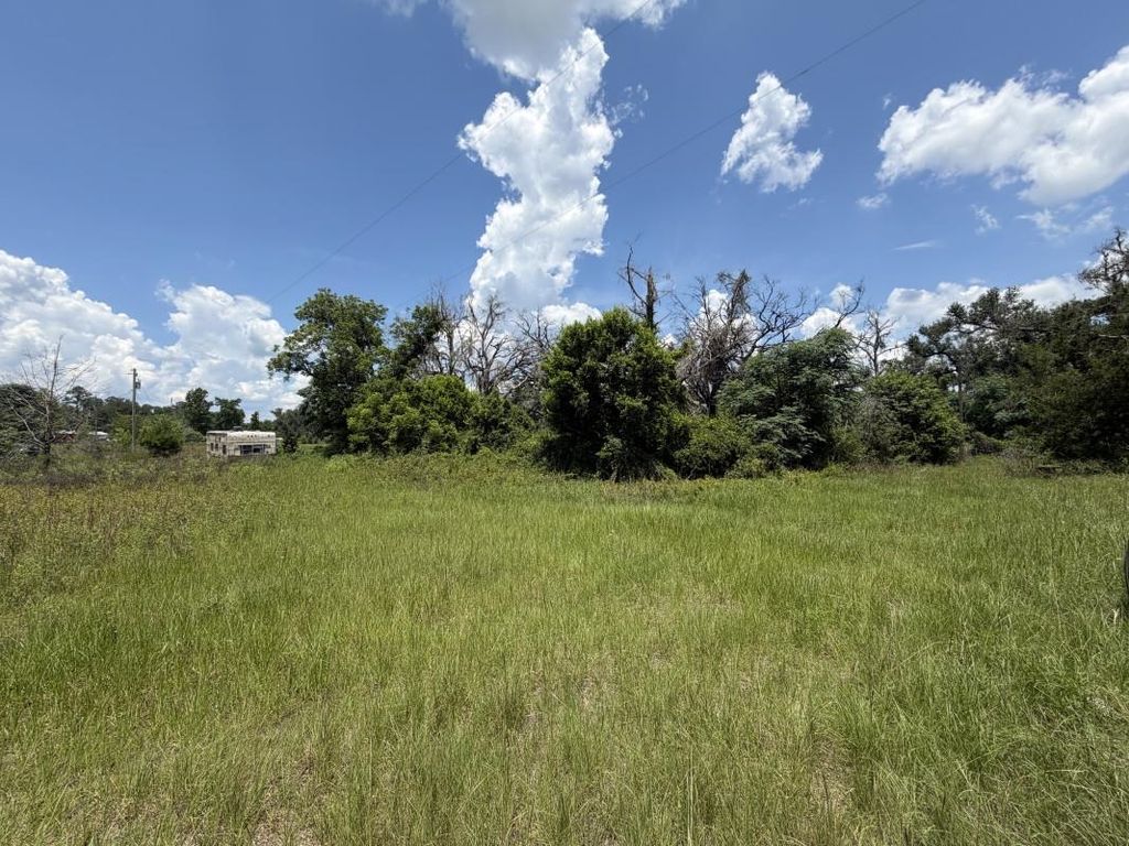 Photo of 610 SE Askew Avenue, Madison, FL 32340 (MLS # 401662)